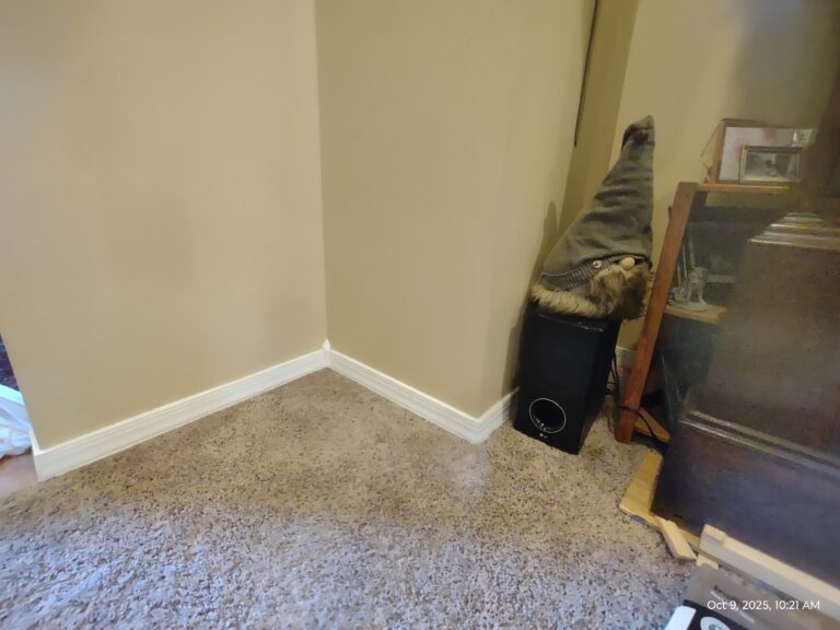 Floor Leveling Service in Rogers