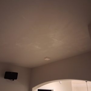 Ceiling Drywall Repair in Rogers
