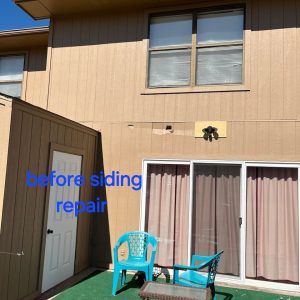 Siding Repair and Painting in Rogers
